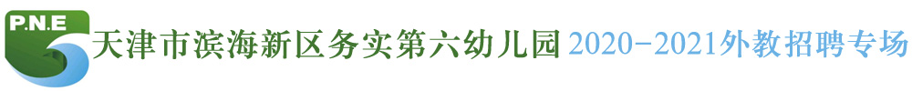 天津市滨海新区务实第六幼儿园外教招聘专场2020-2021